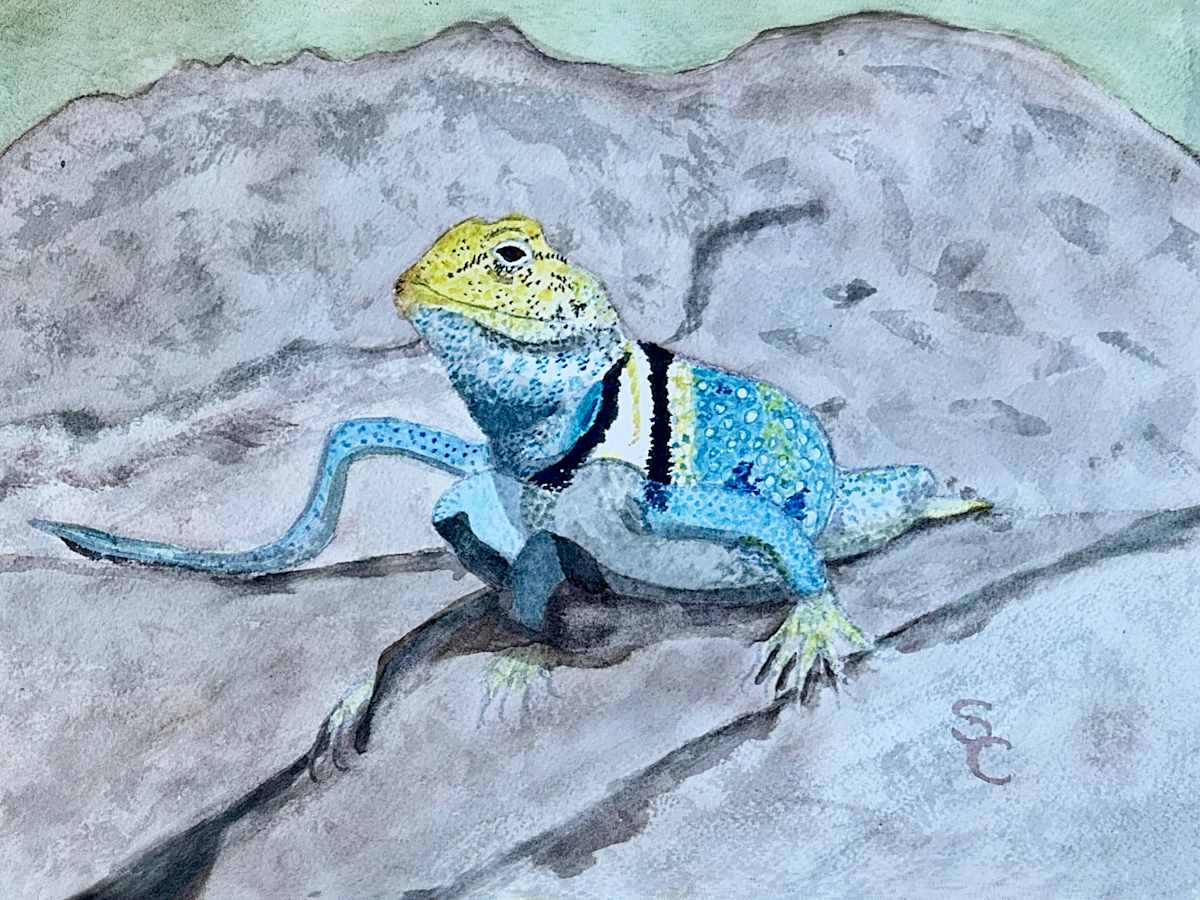 Desert Jewel by Shelley Crouch 