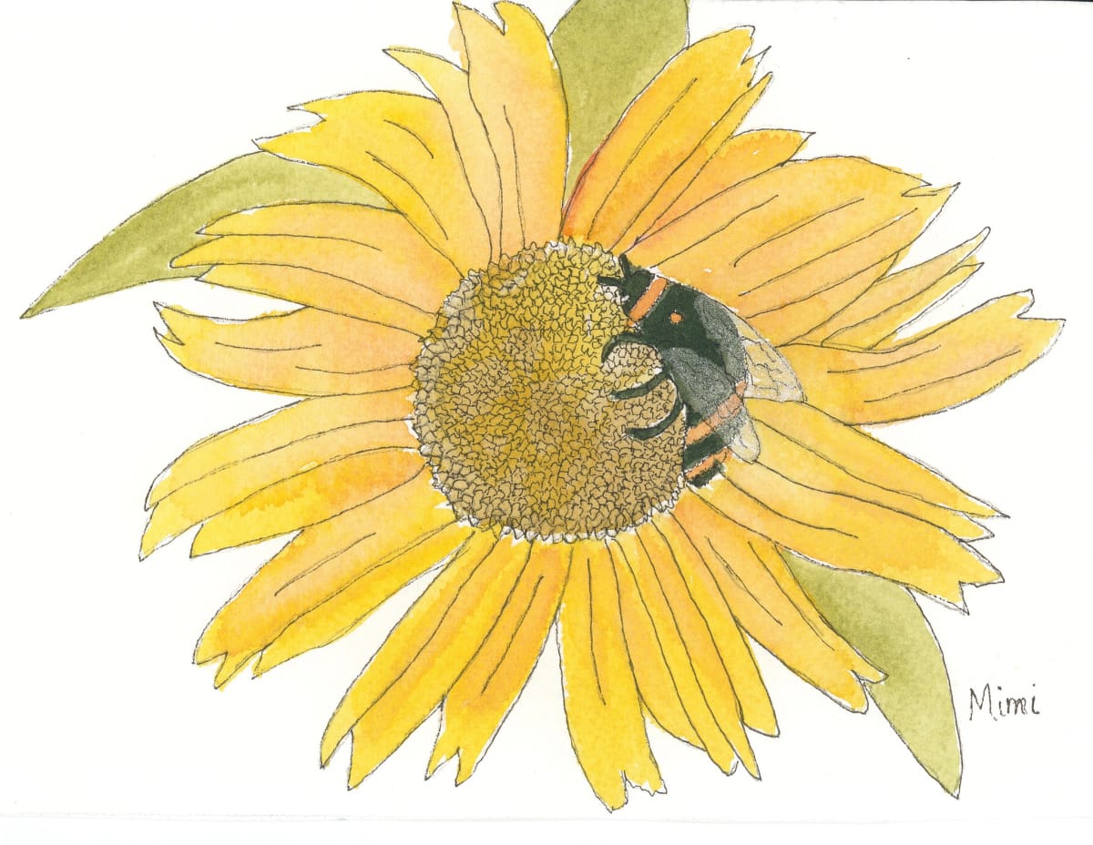 Bumblbee on a Sunflower by Shelley Crouch 