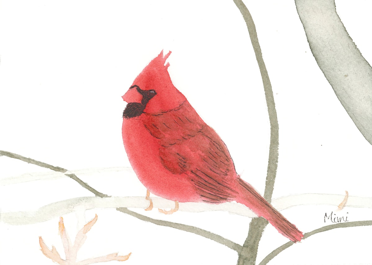 Cardinal by Shelley Crouch 