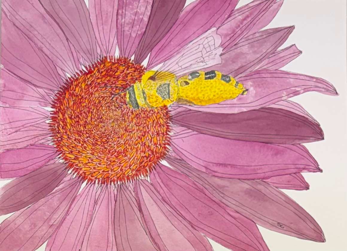 Pollen Buffet by Shelley Crouch, Image 1.