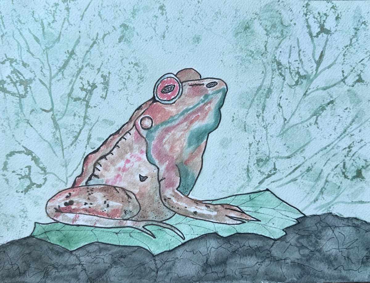 Jumpin’ Jiminy by Shelley Crouch, Image 1.