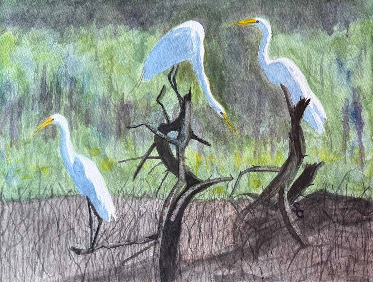 No Regrets, Only Egrets by Shelley Crouch, Image 1.