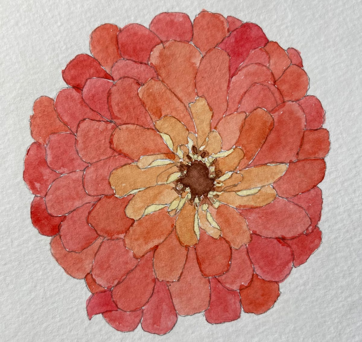 Zinnia up close by Shelley Crouch, Image 1.
