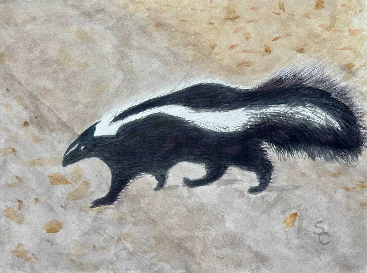 Don’t Make a Stink (Striped Skunk) by Shelley Crouch, Image 1.