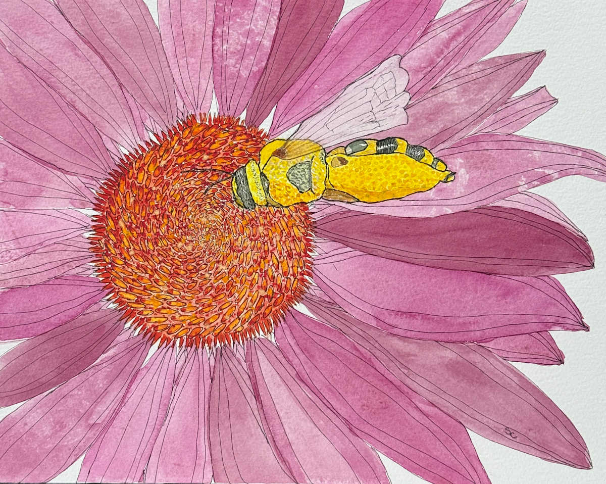 Pollen Buffet by Shelley Crouch, Image 1.
