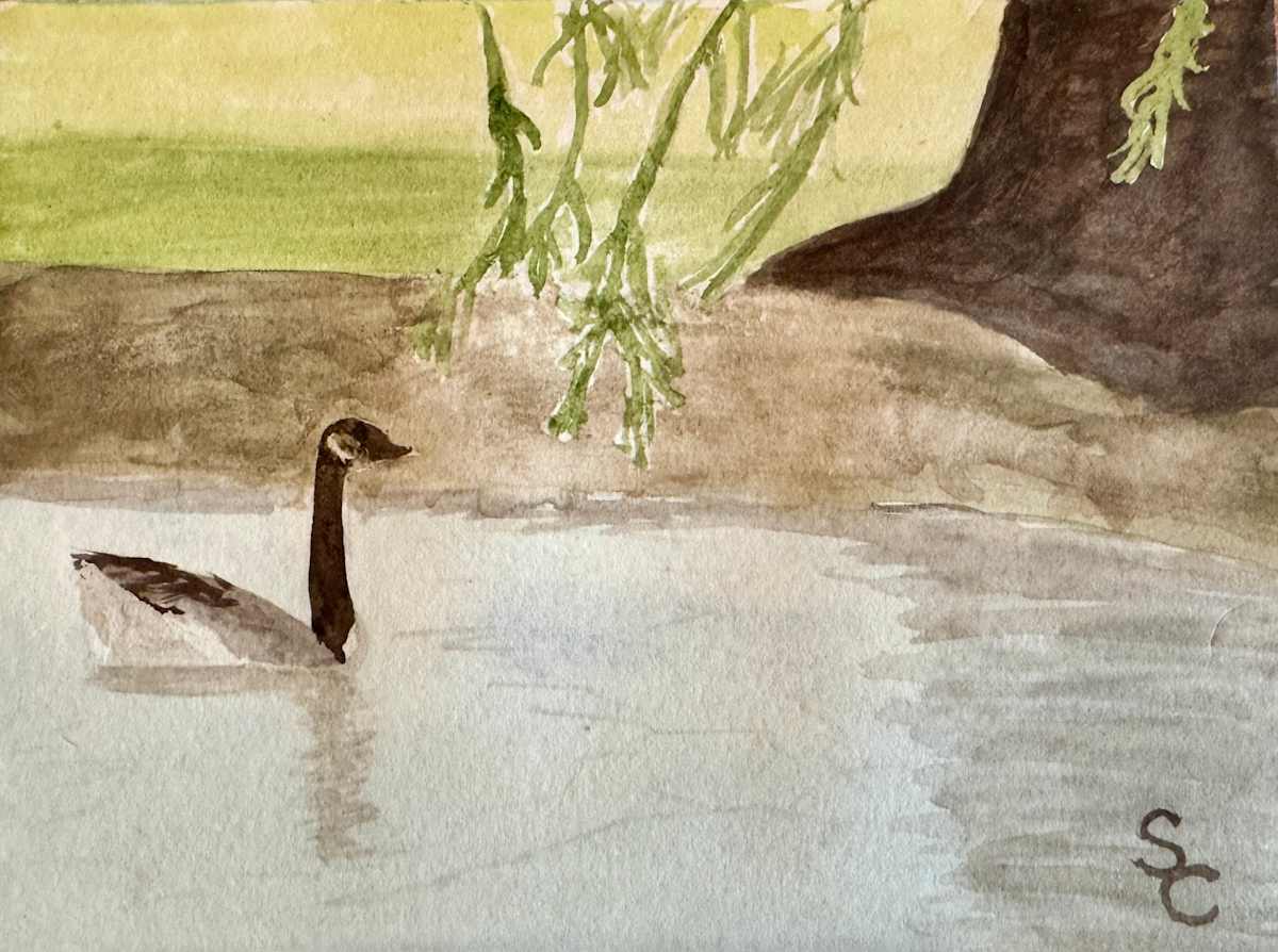 Sunday Afternoon Swim by Shelley Crouch 