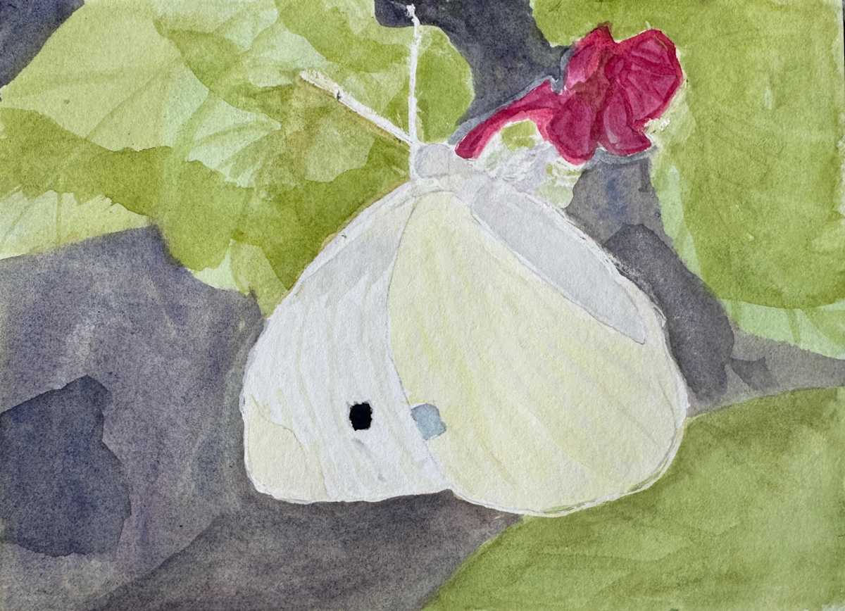 Whisper on Petals by Shelley Crouch 