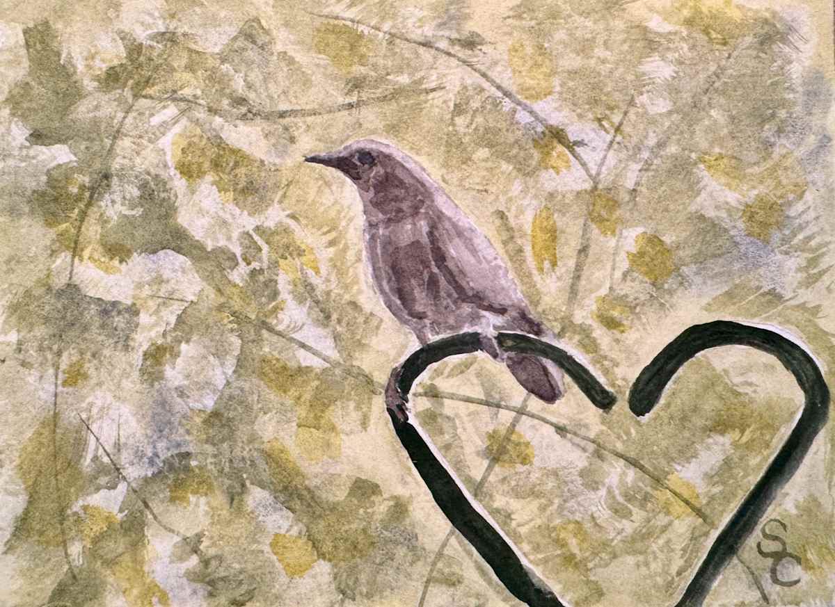 Perch and Protect by Shelley Crouch 