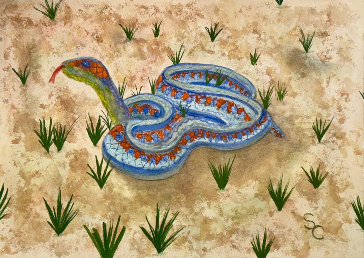 Rainbow in the Grass (Common Garter Snake) by Shelley Crouch, Image 1.
