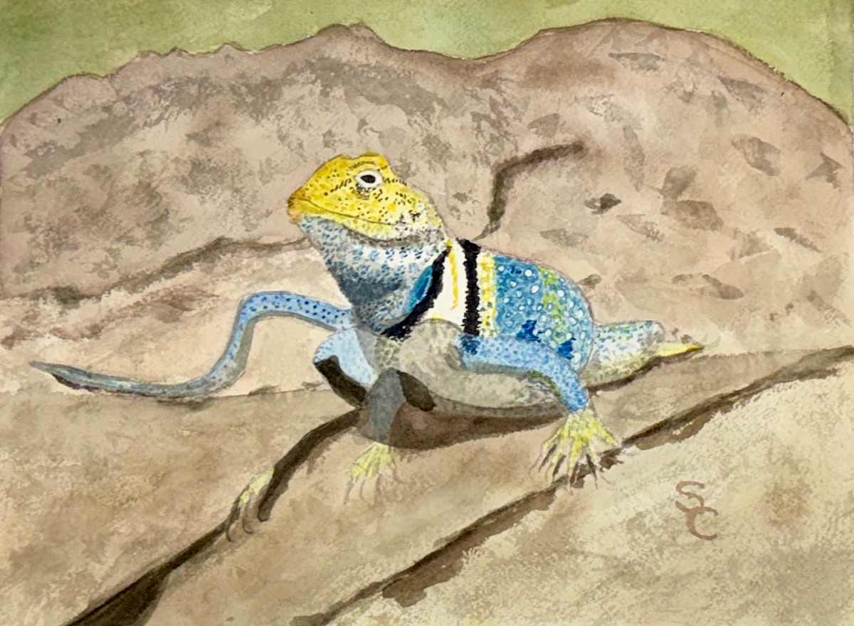Desert Jewel by Shelley Crouch 