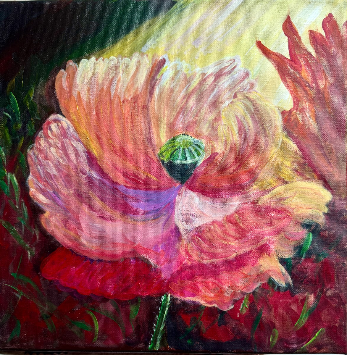 Shine a Light on Me by Shelley Crouch 