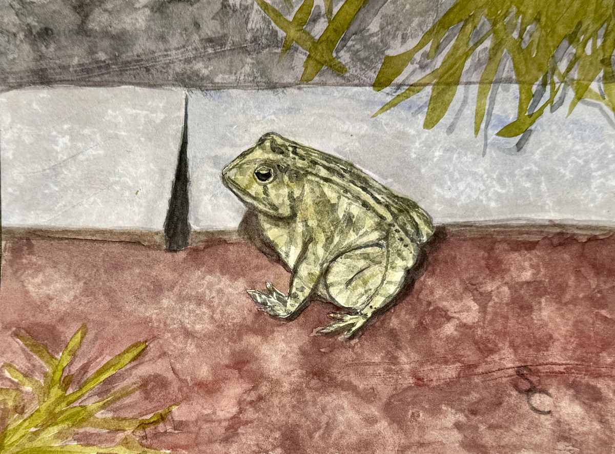 Garden Sentry by Shelley Crouch 