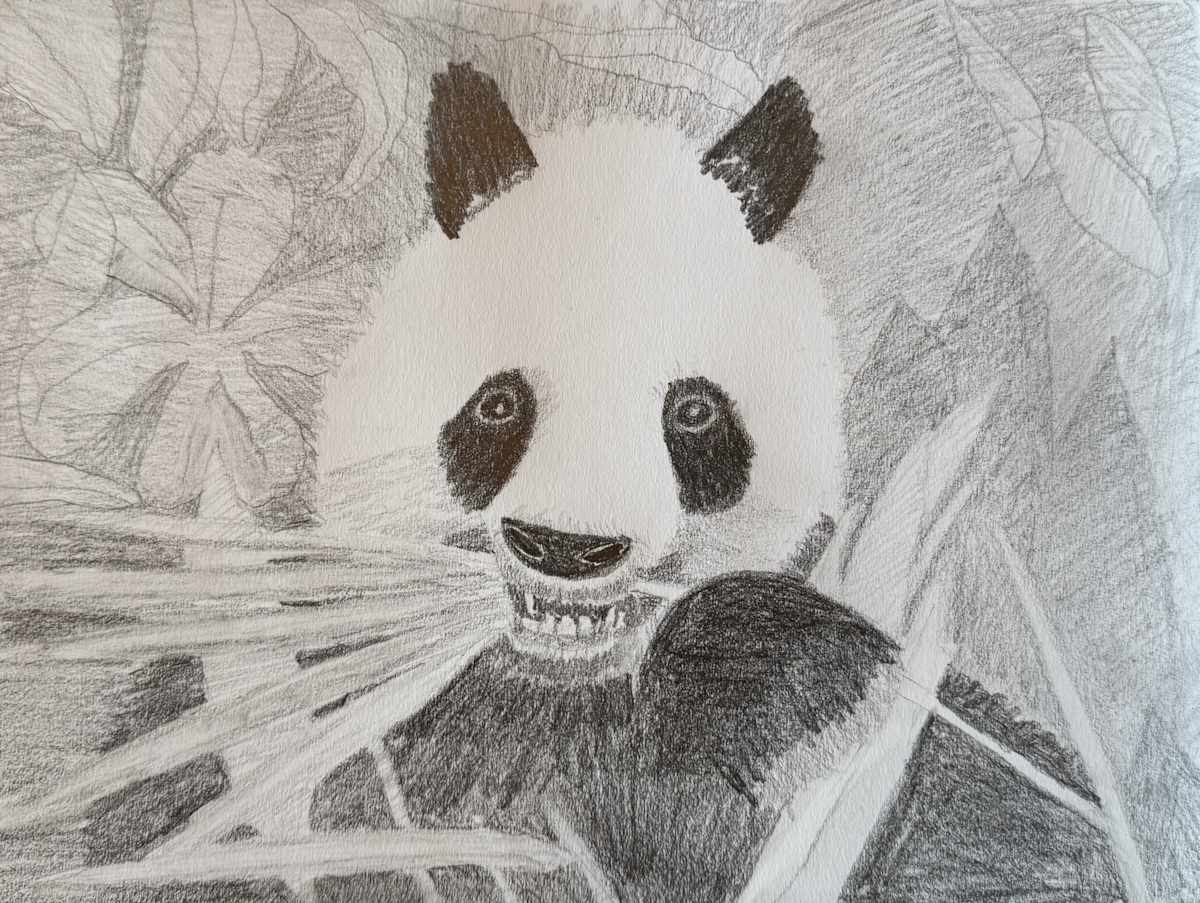 Nom Nom by Shelley Crouch 