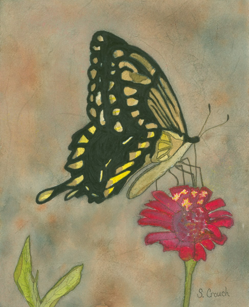 Mariposa (Eastern Giant Swallowtail) by Shelley Crouch 