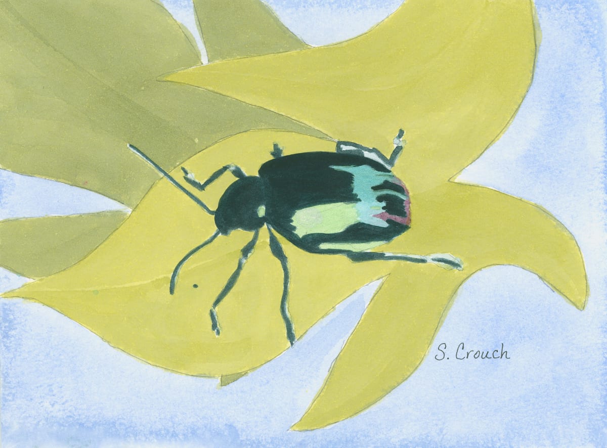Beetlemania (Leaf Beetle) by Shelley Crouch 