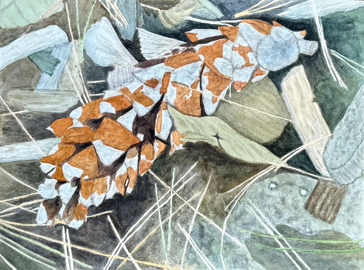 On the Forest Floor by Shelley Crouch 