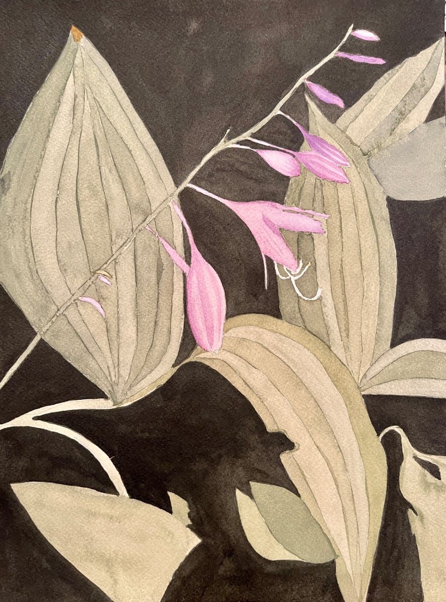Moonlight Hostas by Shelley Crouch 