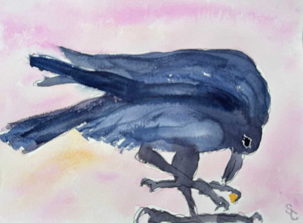 Gold Digger by Shelley Crouch 