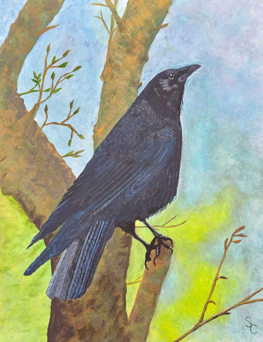 A Crow’s Eye View by Shelley Crouch, Image 2.