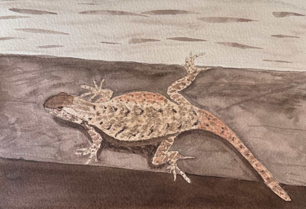 Sunbather of the Southwest by Shelley Crouch 