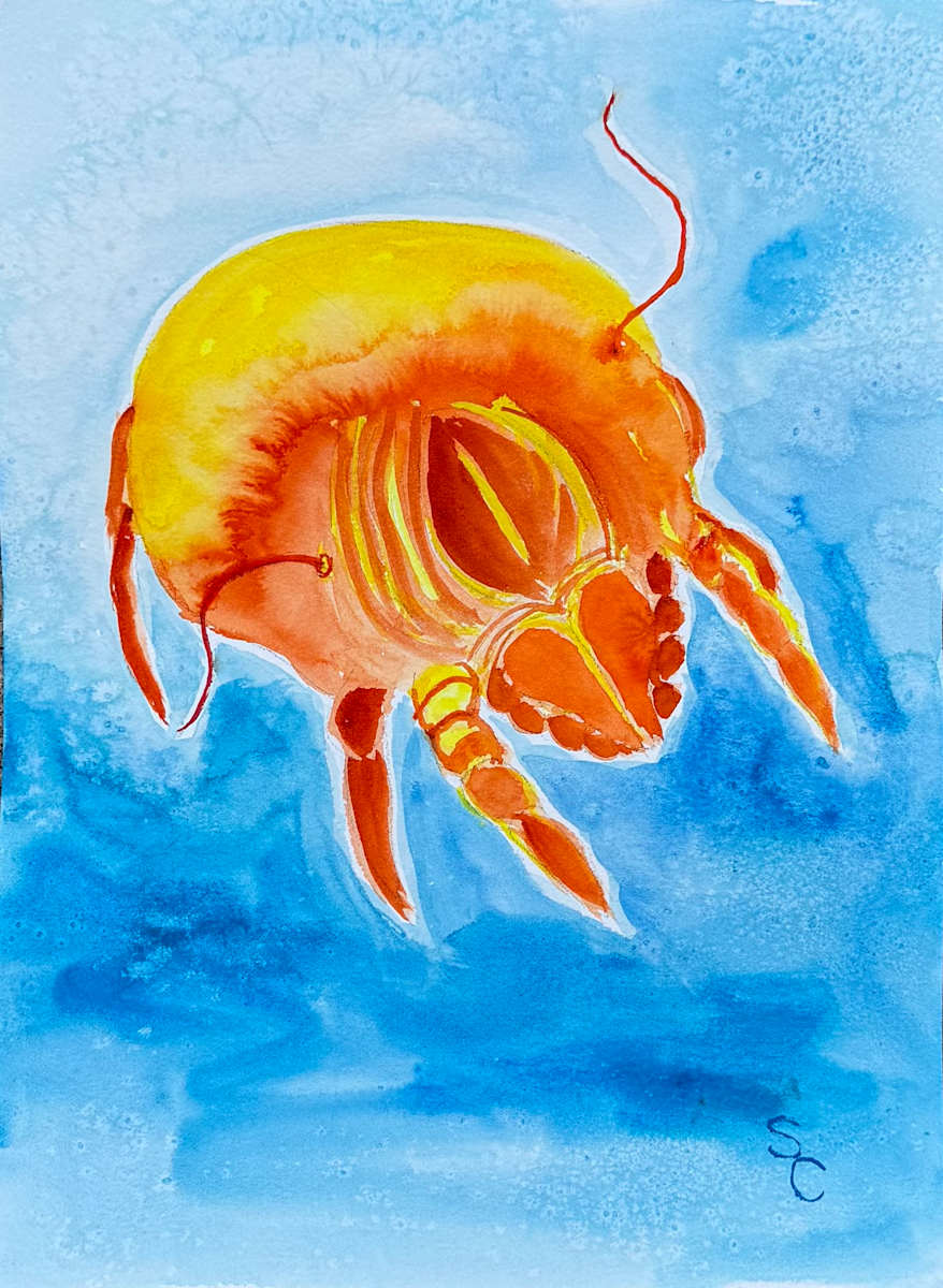 I Think I Mite by Shelley Crouch, Image 1.