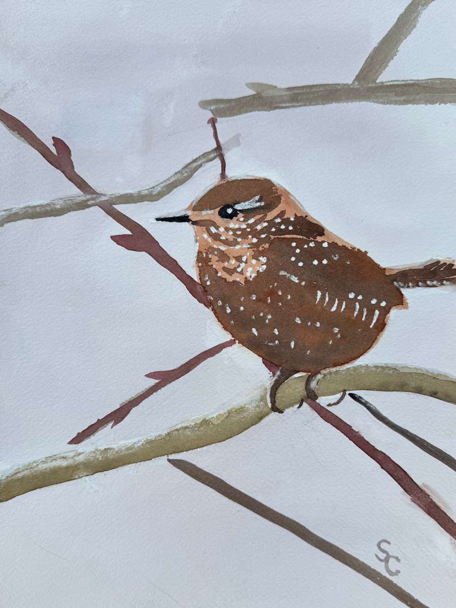 Hang On by Shelley Crouch, Image 1.