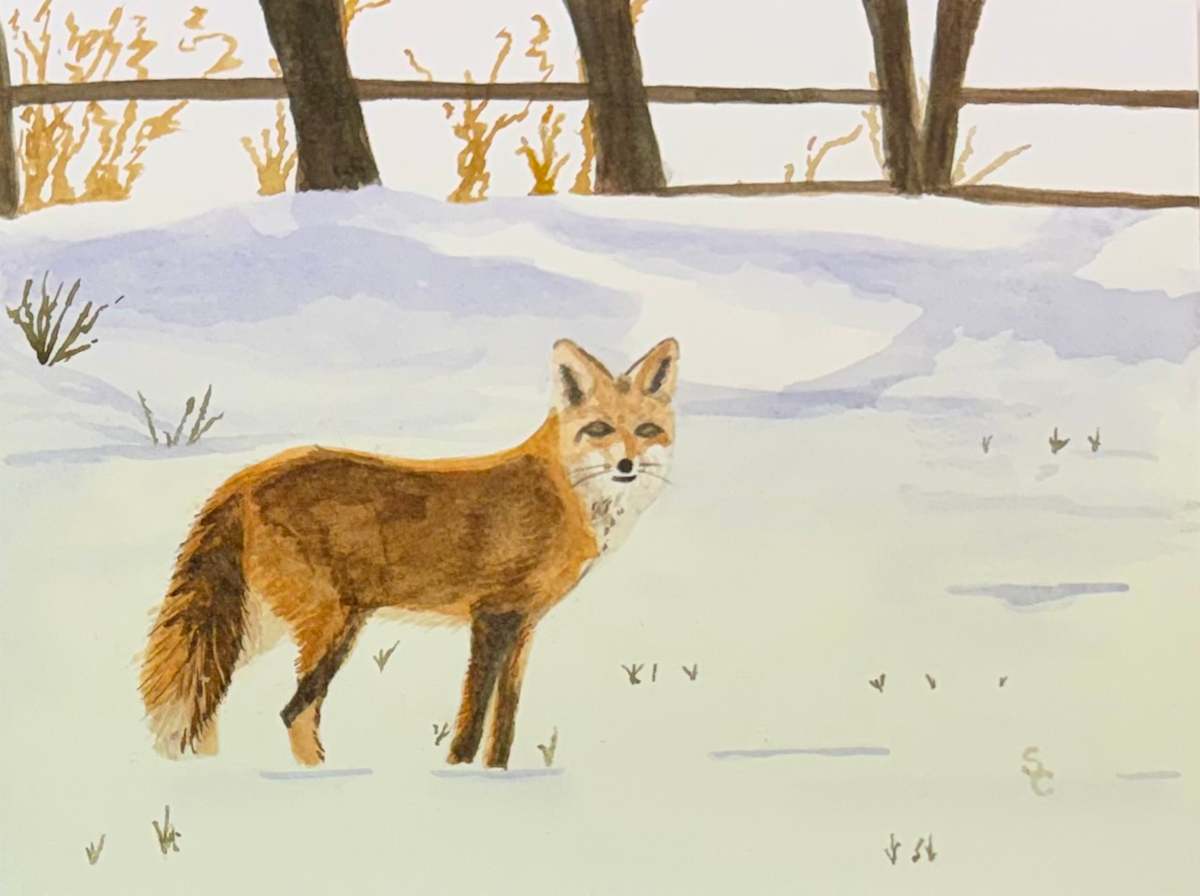 Stone Cold Fox by Shelley Crouch, Image 1.