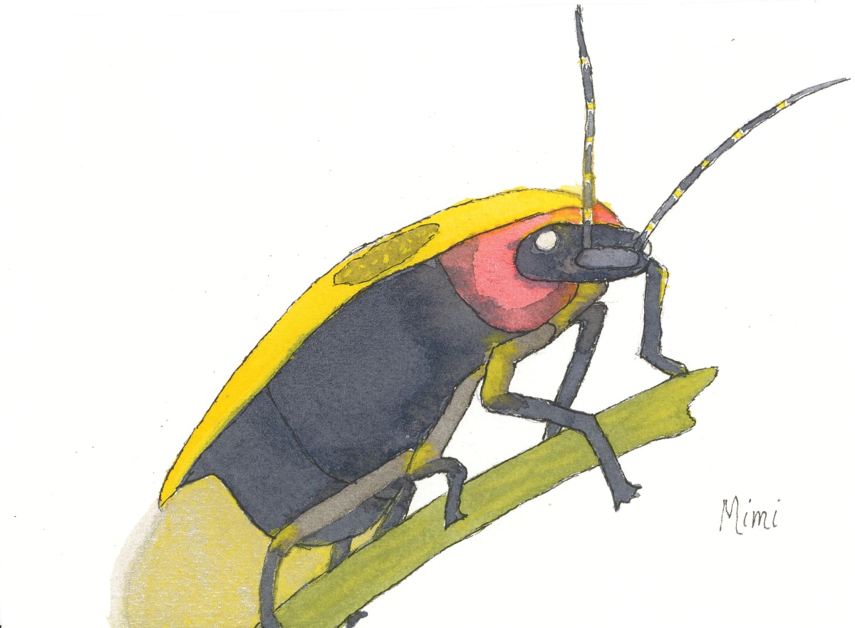 Lightning Bug by Shelley Crouch 