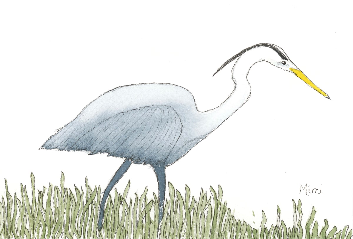 Great blue heron by Shelley Crouch 