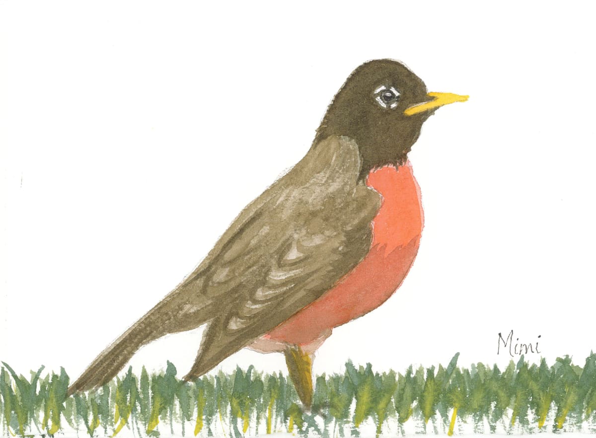 Robbin' Worms (American Robin) by Shelley Crouch, Image 1.