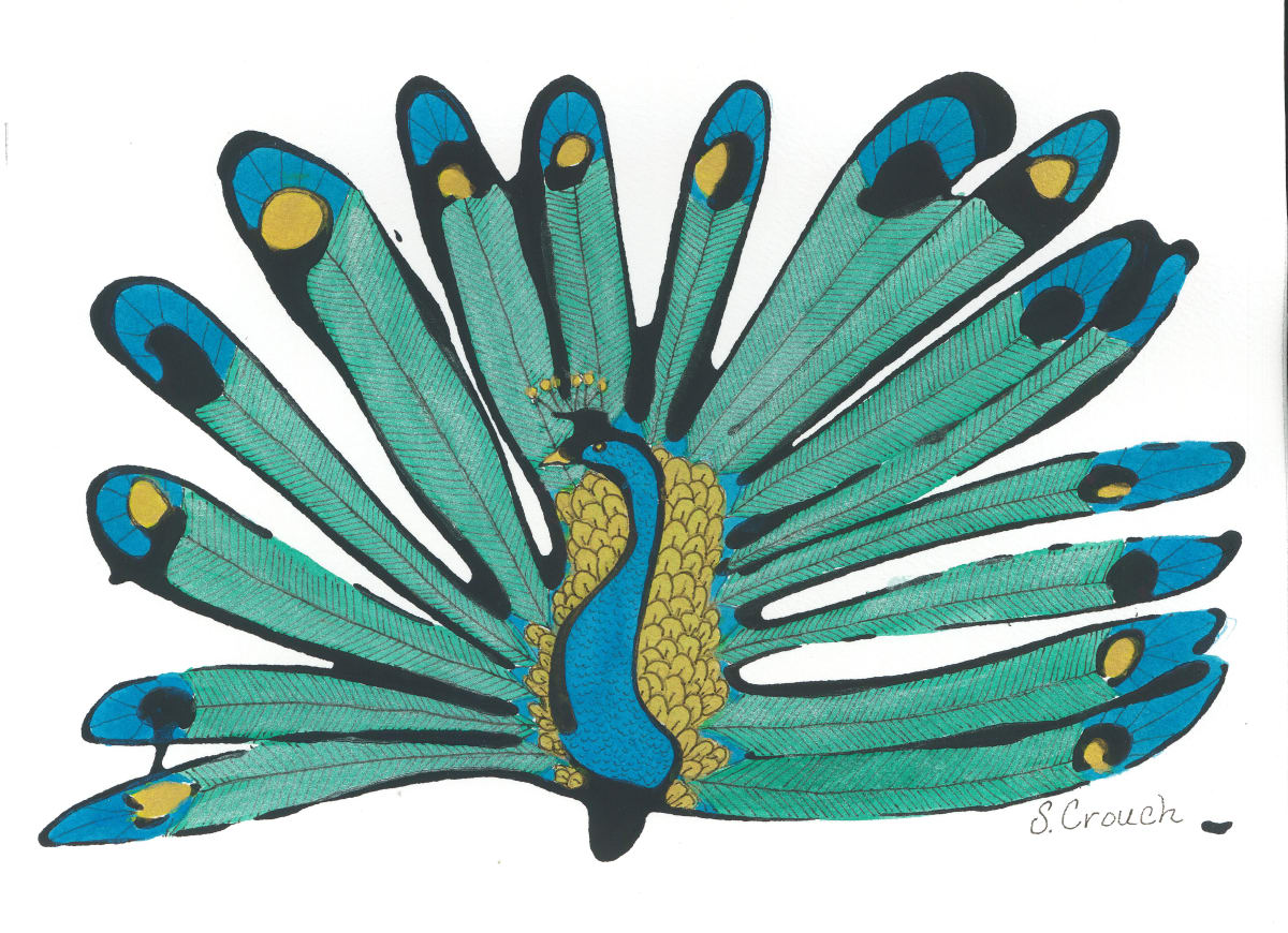 Peacock Pride by Shelley Crouch 