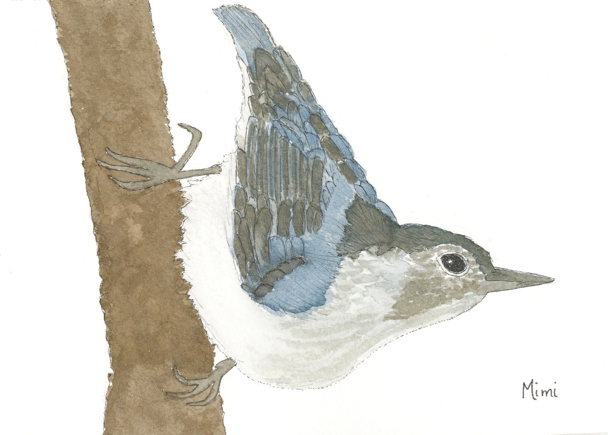 Head Over Heels (White-breasted nuthatch) by Shelley Crouch, Image 1.
