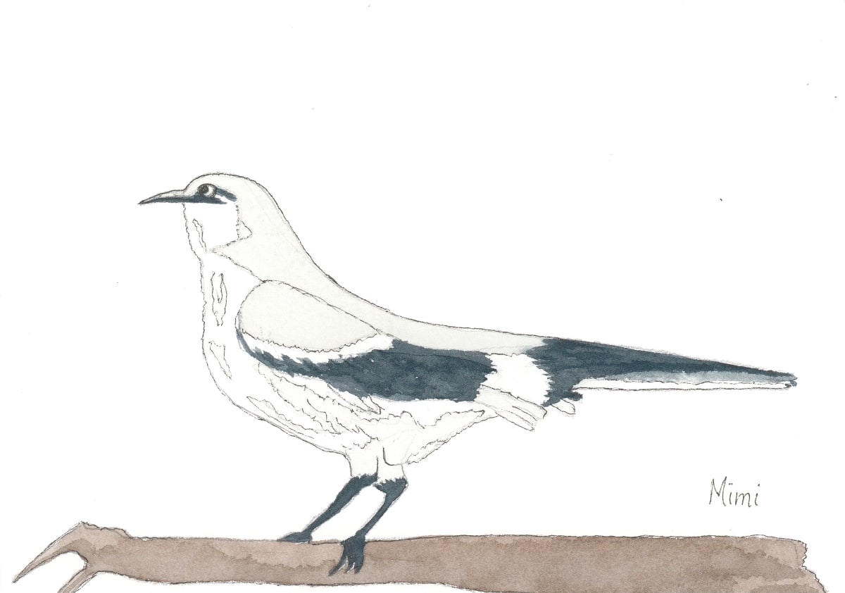 Mockingbird by Shelley Crouch 