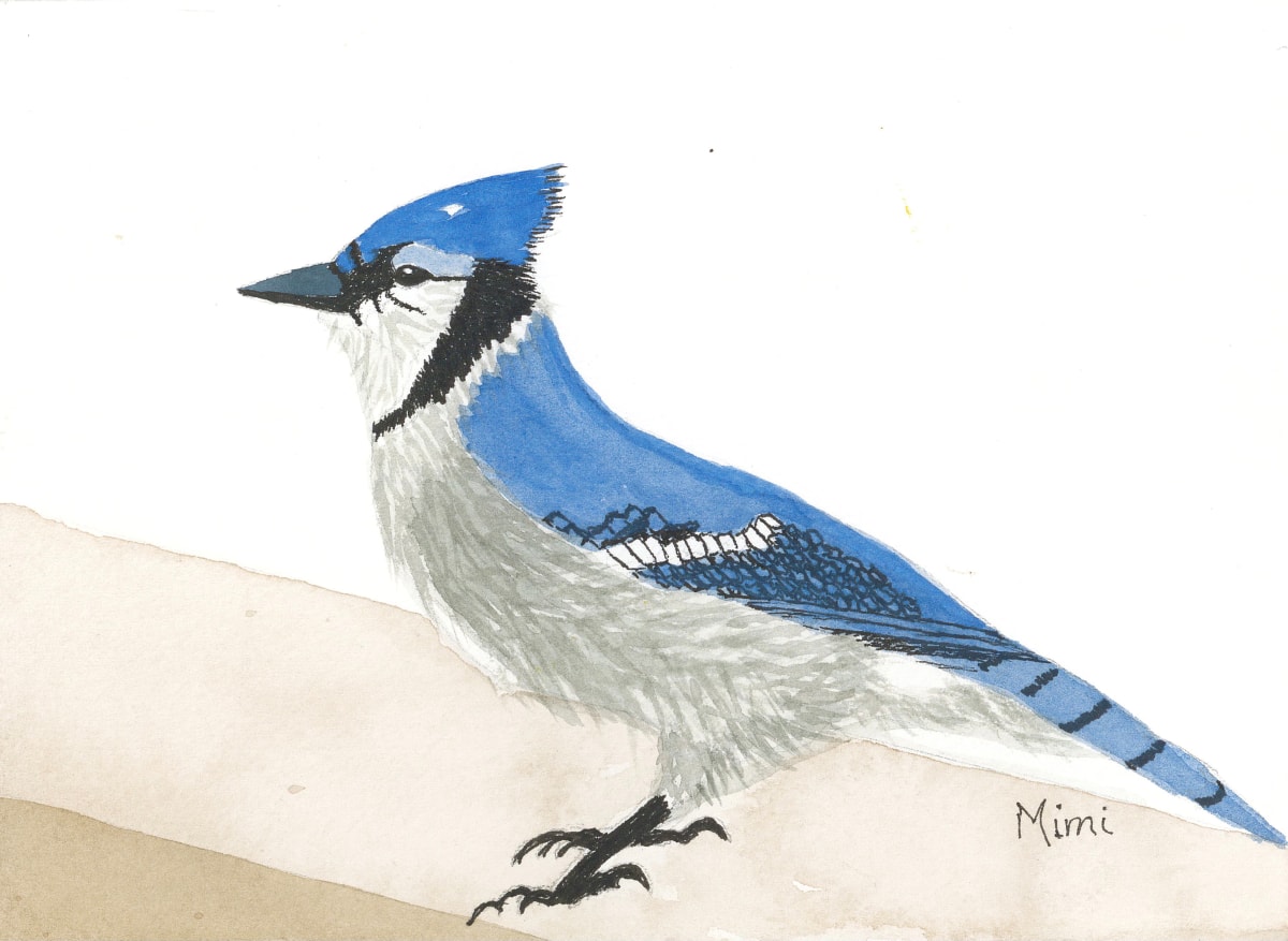 Jay Z's Cousin (Blue Jay) by Shelley Crouch, Image 1.