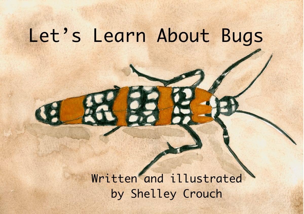 Let's Learn About Bugs by Shelley Crouch 