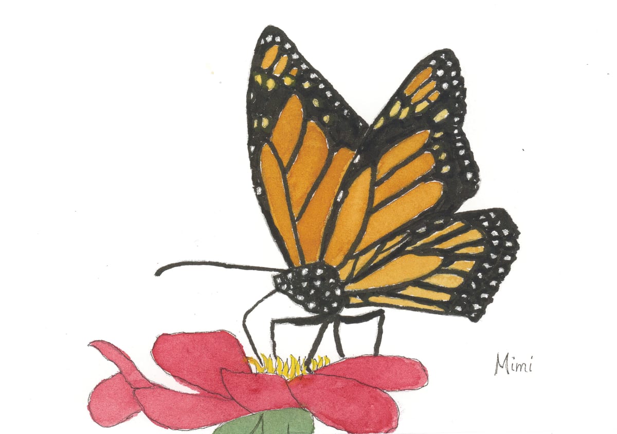 Monarch by Shelley Crouch 