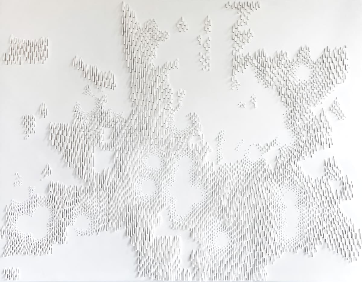 Walk a Mile: The Impact of Food Deserts in Dallas by Rachel Doniger 