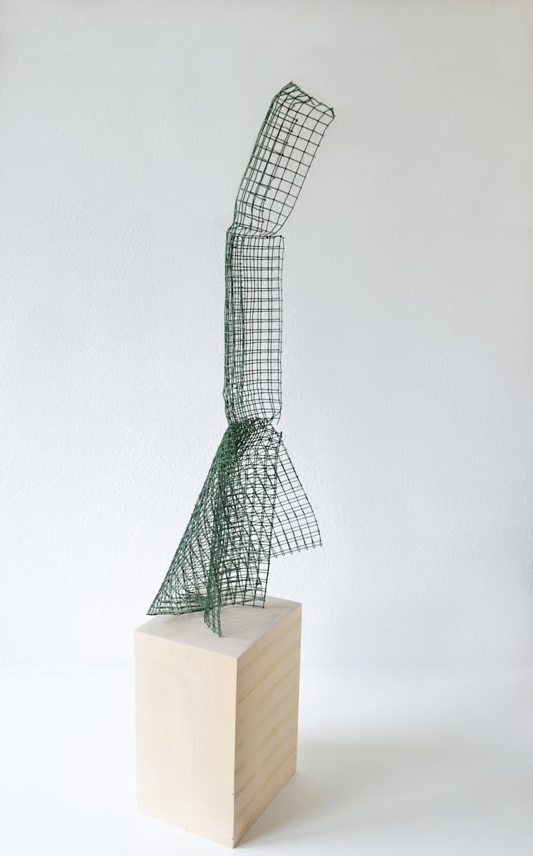 Mesh composition 001 by Gerhard Petzl, Image 1.