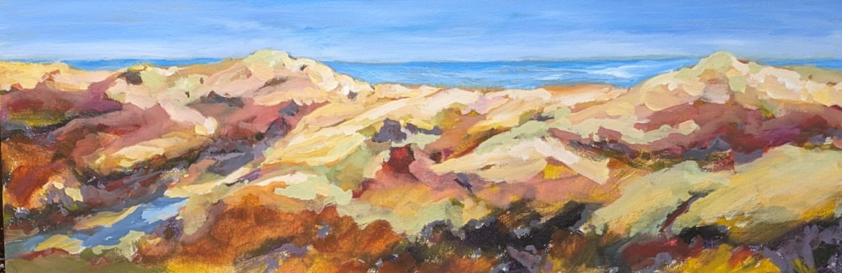 The Dunes by Craig Trapp 