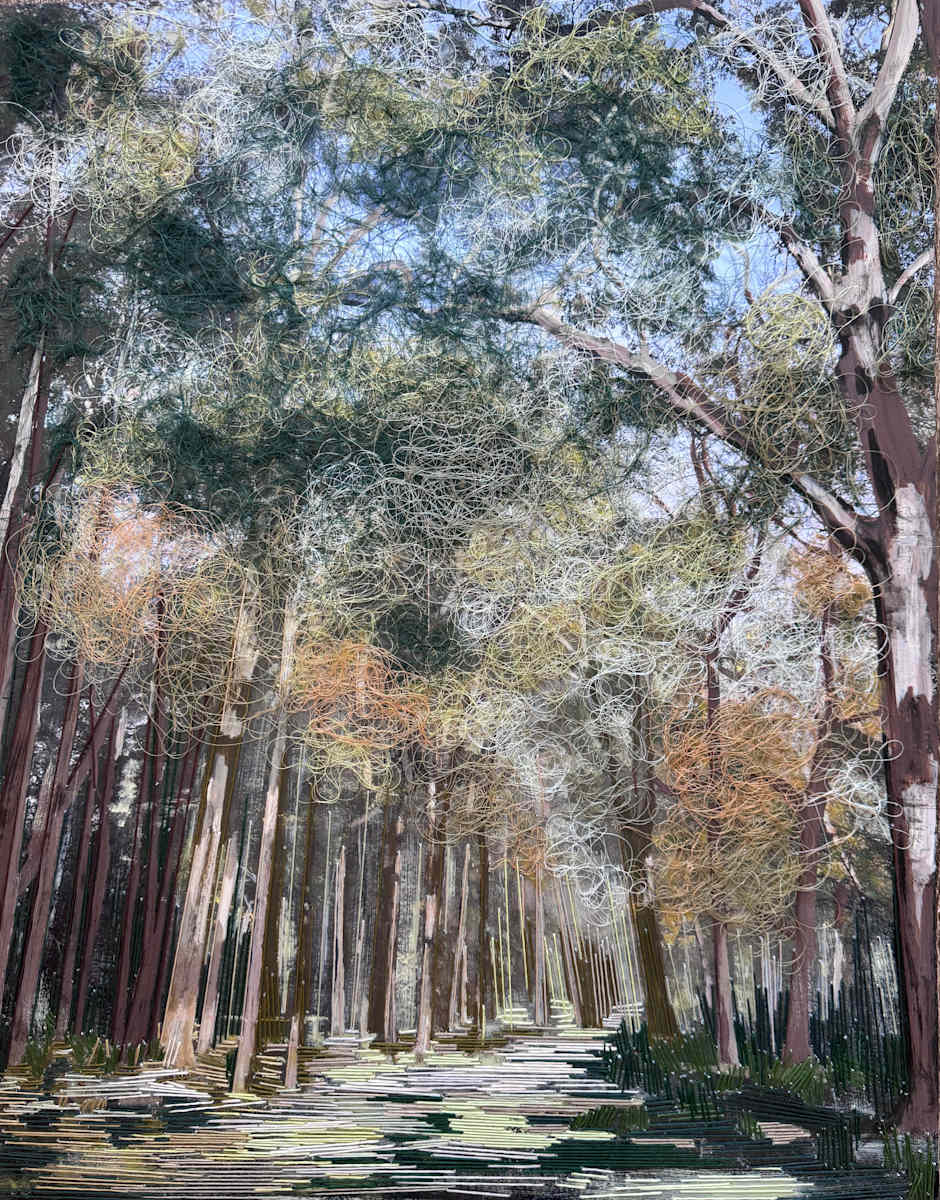 Forest Path by Irmgard Geul, Image 1.