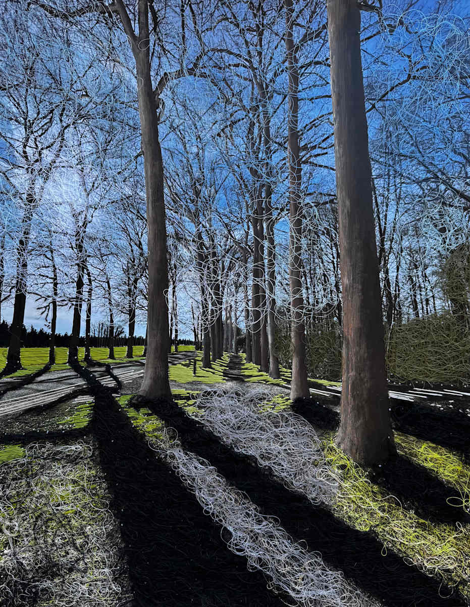 The Shadows of Trees by Irmgard Geul 