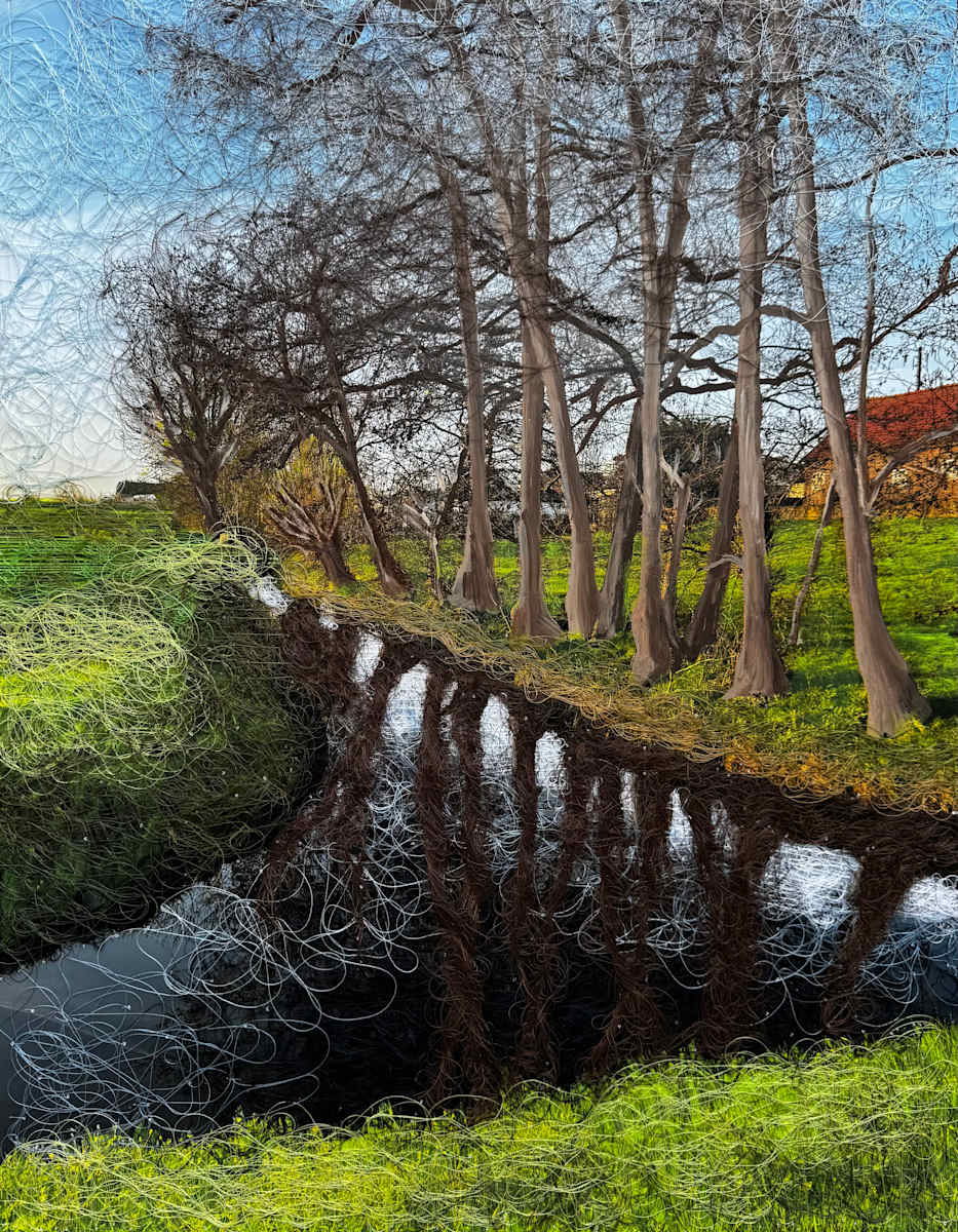 Early Spring Shadows by Irmgard Geul 