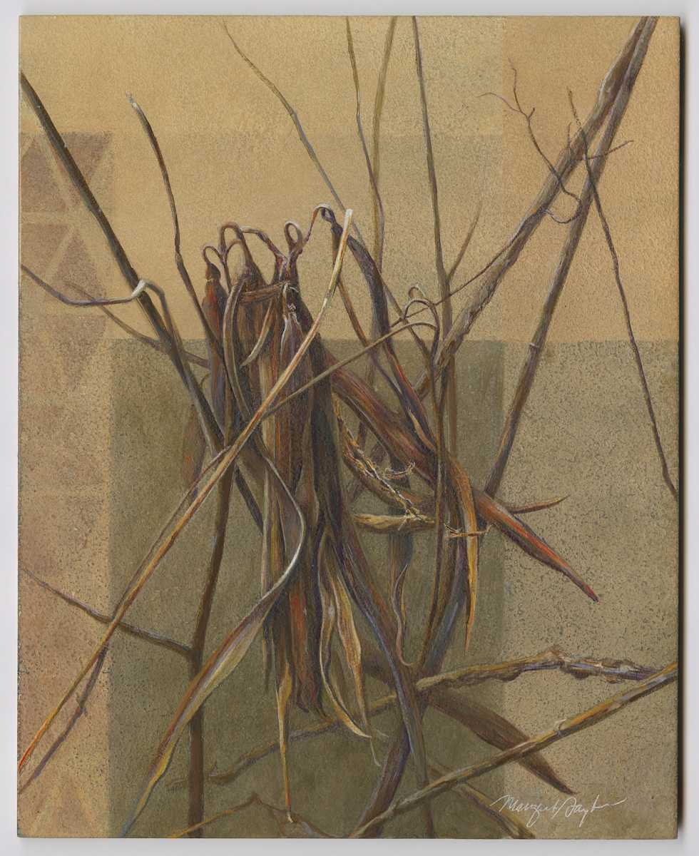 Dogbane: Deceit (Apocynum cannabinum) by Margaret Saylor, Image 1.
