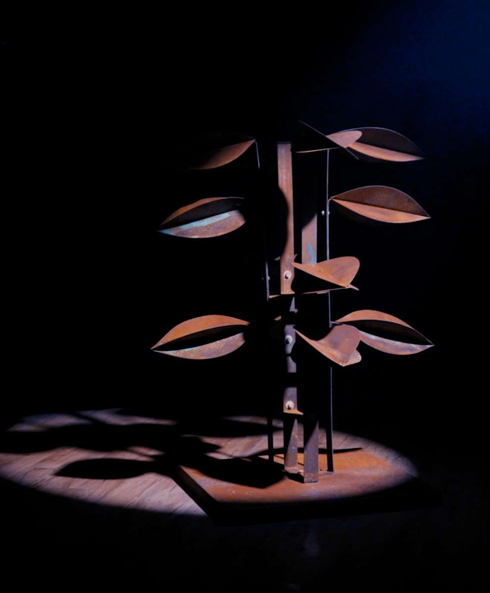 ACERO ARBOREO I by Daniel Alberto Criales Zarate 