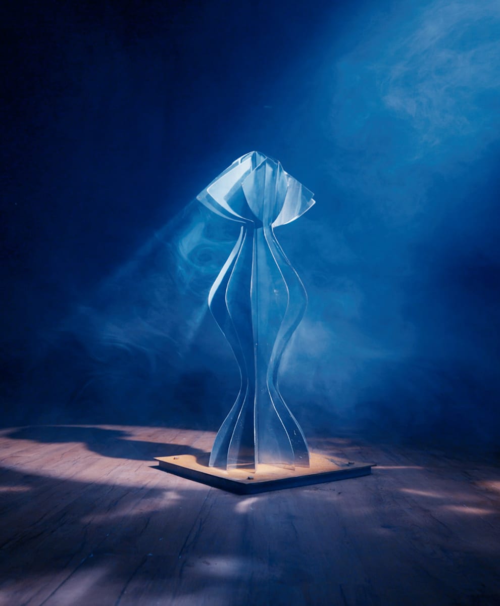 PRESENCIA II by Daniel Alberto Criales Zarate, Image 1.