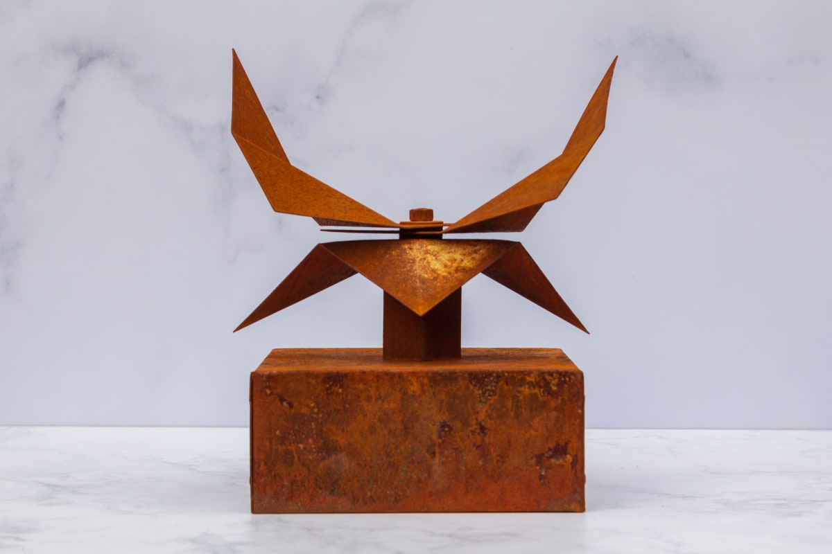 VENTO No. 5 by Daniel Alberto Criales Zarate 
