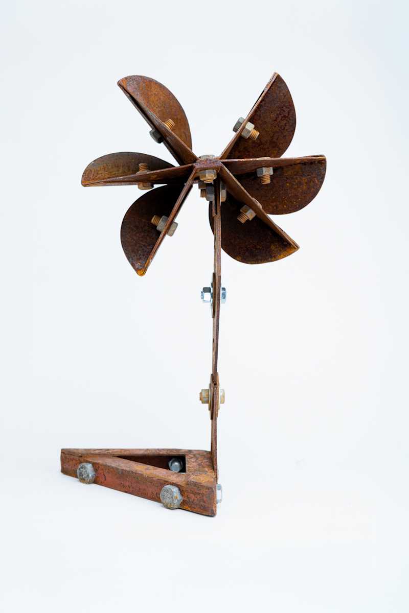 HÉLICEA I by Daniel Alberto Criales Zarate 