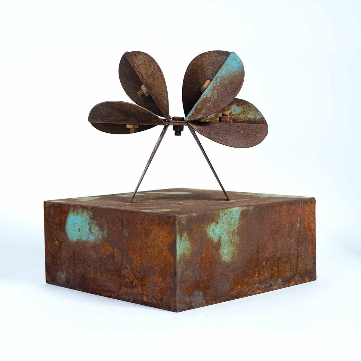 HÉLICEA IV by Daniel Alberto Criales Zarate 