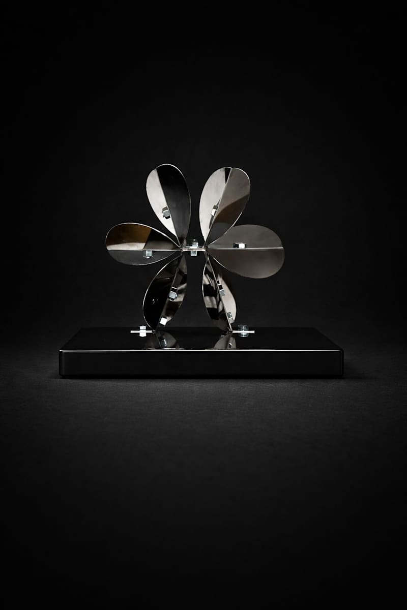 HÉLICEA MINERAL I by Daniel Alberto Criales Zarate, Image 1.