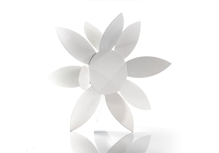 FLOR DE LUZ by Daniel Alberto Criales Zarate, Image 1.